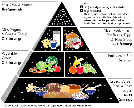 food pyramid for children. Kids Food Pyramid Printable